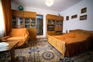Фермерские дома Pensiunea Casa-Stefanel Садова Двухместный номер с 1 кроватью и собственной ванной комнатой-5